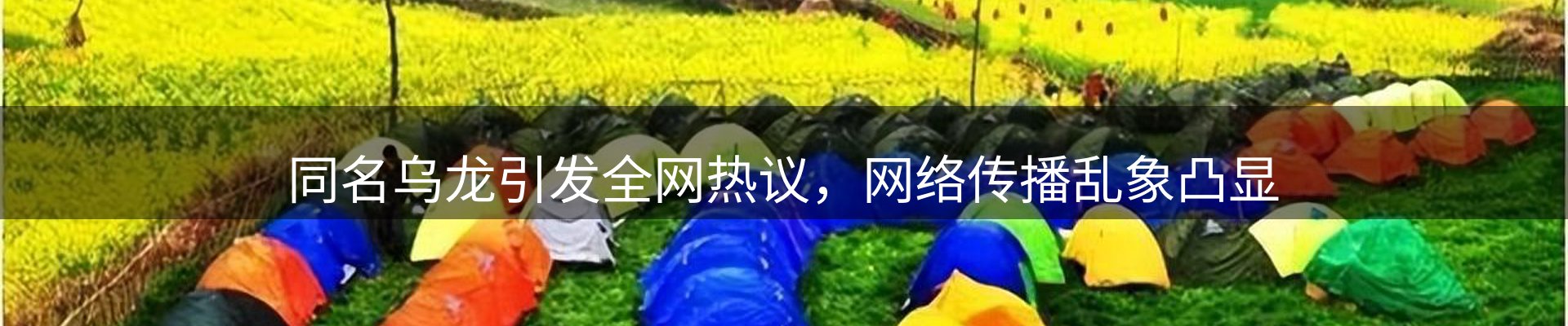 本周精选