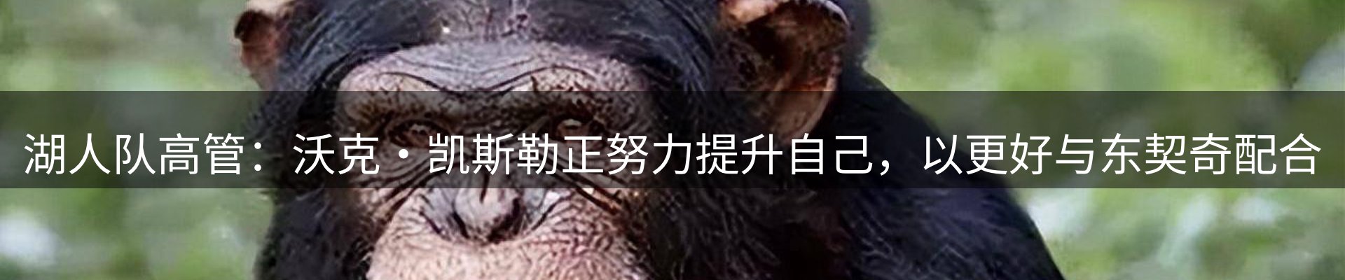 赛事资讯